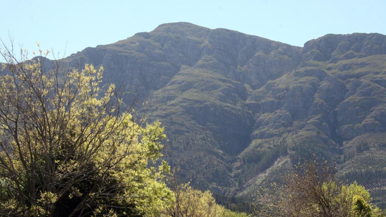 Daisy Place Franschhoek Kültér fotó