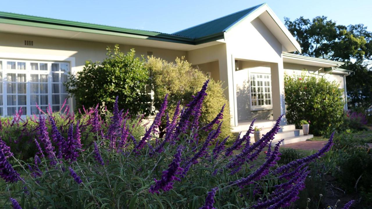 Daisy Place Franschhoek Kültér fotó