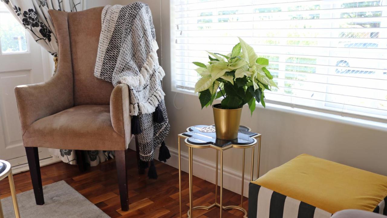 Daisy Place Franschhoek Kültér fotó